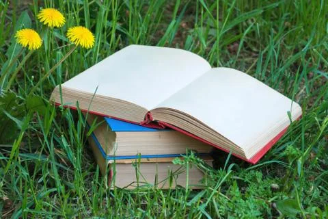 Books on the grass . Stock Photos