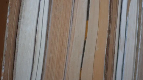 Books, horizontal pan. Stock Footage 88987575