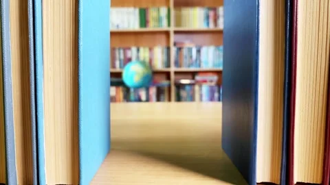 Books in library, bookshelf on background Stock Footage 251709568