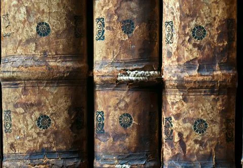 Books in the Library Stock Photos