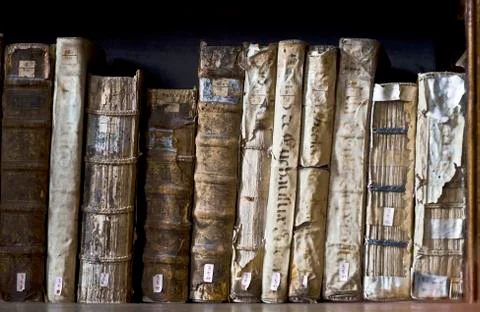 Books in the Library Stock Photos