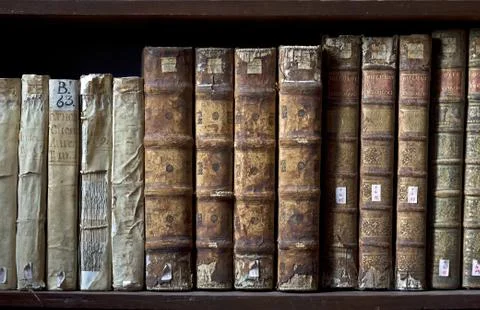 Books in the Library Stock Photos