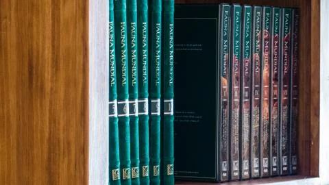 Books library Stock Photos