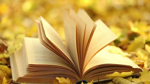Book's page turning by wind on a background of yellow fallen leaves Video stock 32902911