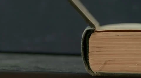 Book's Pages Turning Stock Footage 10773637