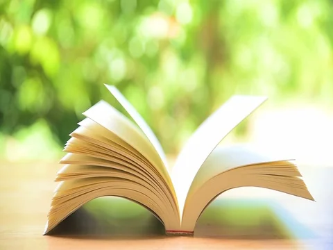 Book's pages turning by wind on table in garden 库存影片 75846168