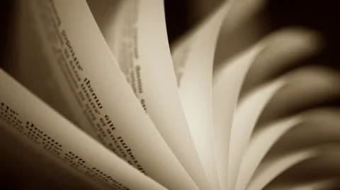 Book's pages turning.Learning education, study and wisdom. Reading books Stock Footage 21538235