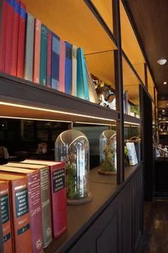 Books 库存照片
