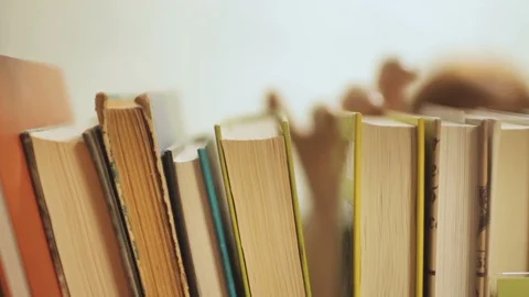 Books on shelf Stock-Footage 85604764