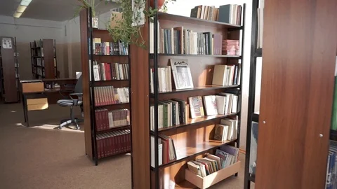 Books on the shelf. School library Stock Footage 106240399
