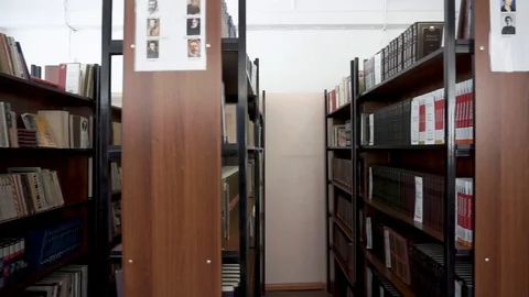 Books on the shelf. School library Stock Footage 106240581