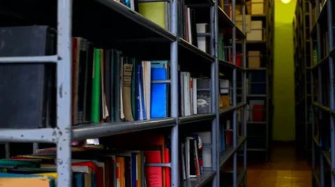 Books on shelves Stock Footage 44019071