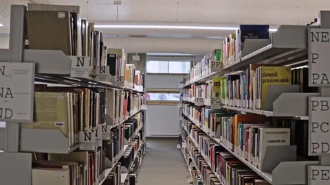 Books on the shelves in the library Stock Footage 164624567