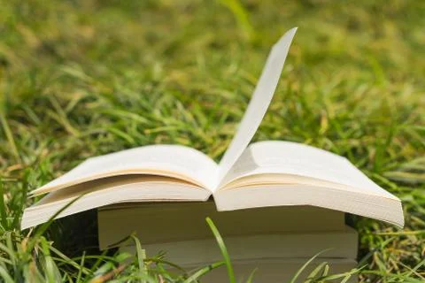 Books stack in the grass 스톡 사진