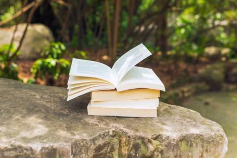 Books stack on a rock Фото