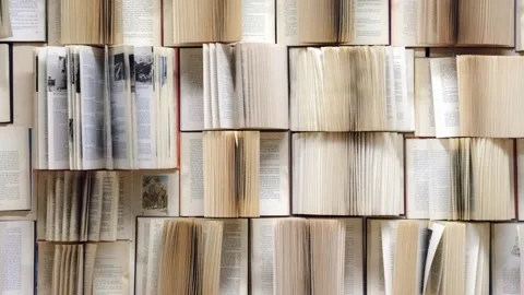 Books Texture Background Animation Stock Footage 316276062