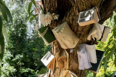 Books on the tree installation Foto stock