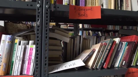 Books in various languages in a multilingual library Stock Footage 142068740