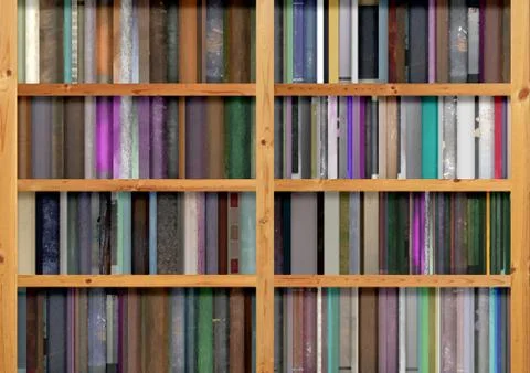 Bookshelves Stock Illustration