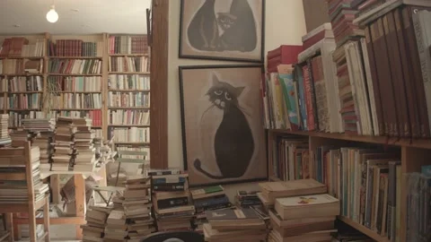 Bookstore and art Stock Footage 172474176