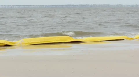 Boom on beach Stockbeeldmateriaal 22111989
