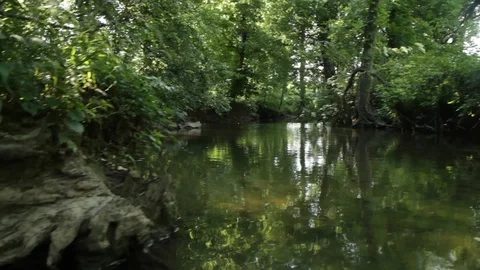 Boom up to Creek Stock Footage 99754927