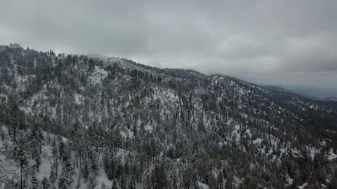 Boom down Aerial Snow &amp; Trees 動画素材 101303286