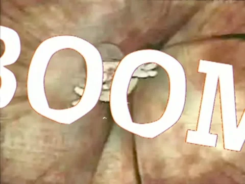 Boom 動画素材 8681613