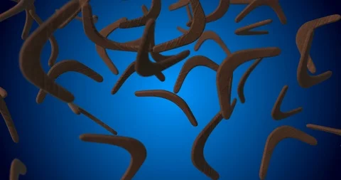Boomerangs falling slow motion Video stock 105104904