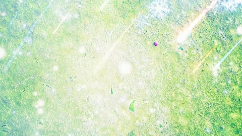 Boonsong Srisawat 動画素材 168399712