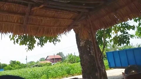 Boonsong Srisawat Stock Footage 180873588