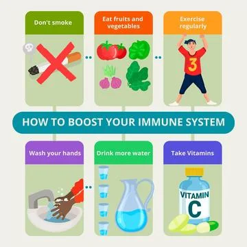 Boost your immune system infographic template Stock Illustration