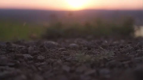 Boot close-up. A man climbs a mountain at sunset Stock Footage 167223339