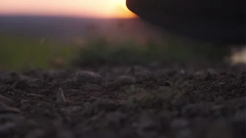 Boot close-up. A man climbs a mountain at sunset Stock Footage 169814066