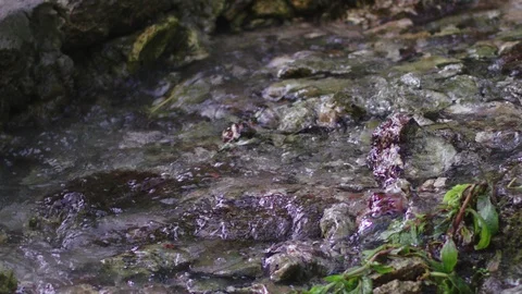 The boot comes on the creek Video stock 94838811