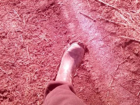 Boot in the ground on the field Foto stock