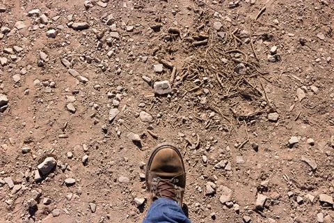 A boot of a lone adventurer walking a trail through the mountains Stock Photos
