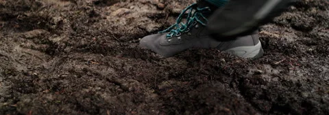 Boot in Mud Stock Footage 340591690