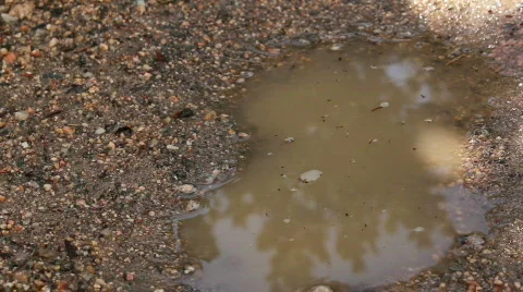 Boot into Puddle Stock Footage 810328