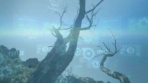 Boot sequence starting UI elements sliding around twisted tree trunk showing Stock Footage 320287711