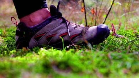 Boot stepping on moss bed forest floor footprint climate Stock Footage 195902402