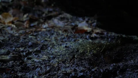 Boot Stepping In Mud Stock Footage 91137996
