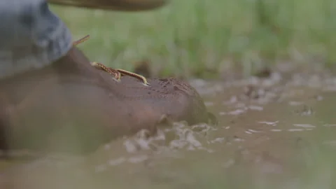 Boot Stepping in a Muddy Puddle on a Sunny Day Outdoors Stock Footage 208803112