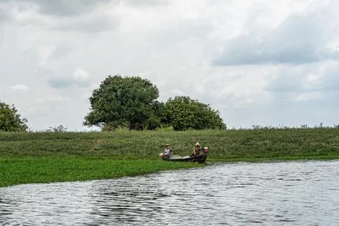 Boot trip on the Jari Canal at Alter do Chao, Santarem, Para State, Brazil Fotos Stock