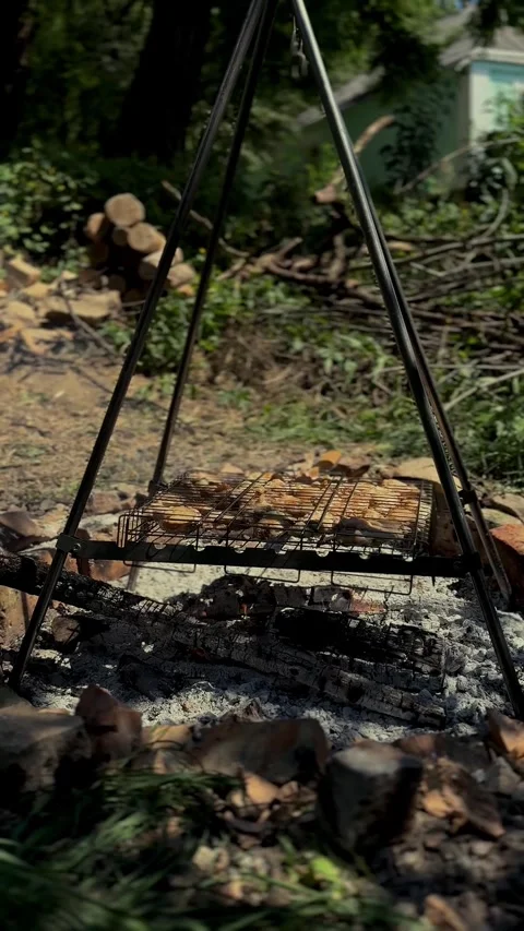 A bootcamp bonfire in a forest Stock Footage 278695845
