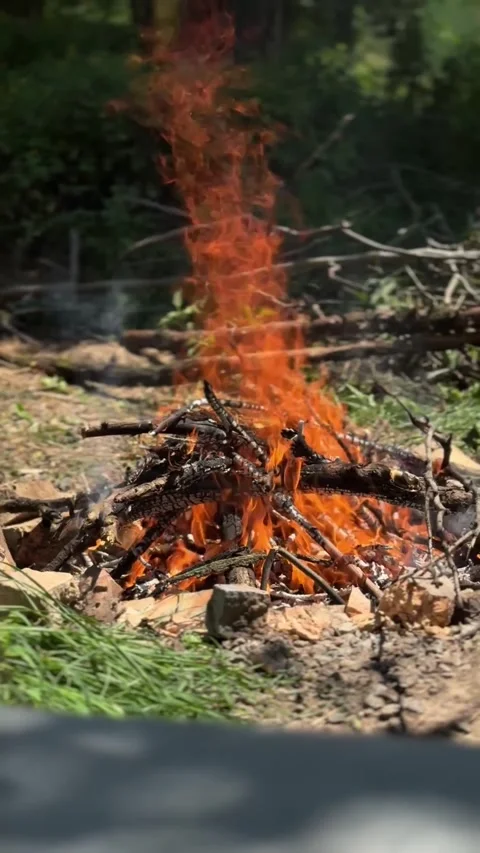 A bootcamp bonfire in a forest Stock Footage 278804707