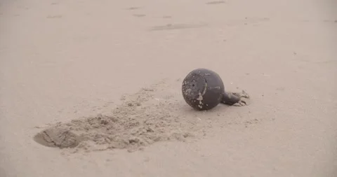 Bootcamp workout on the beach Stock Footage 148330866