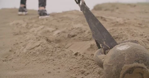 Bootcamp workout on the beach Video stock 148330872