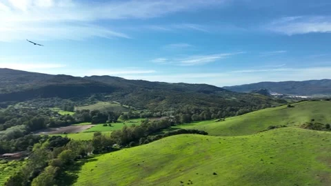 Booted Eagle or Hieraaetus pennatus in flight over spanish landscape Stock Footage 179424399