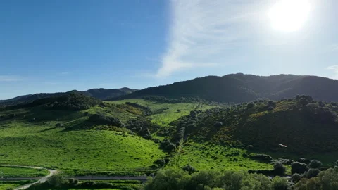 Booted Eagle or Hieraaetus pennatus in flight over spanish landscape Stock Footage 179429011